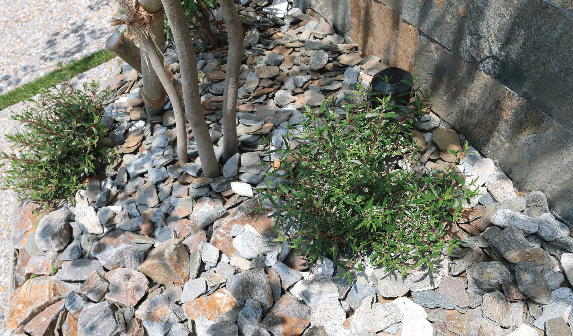 EXDECOの「リーブスグラバ【関東版】」