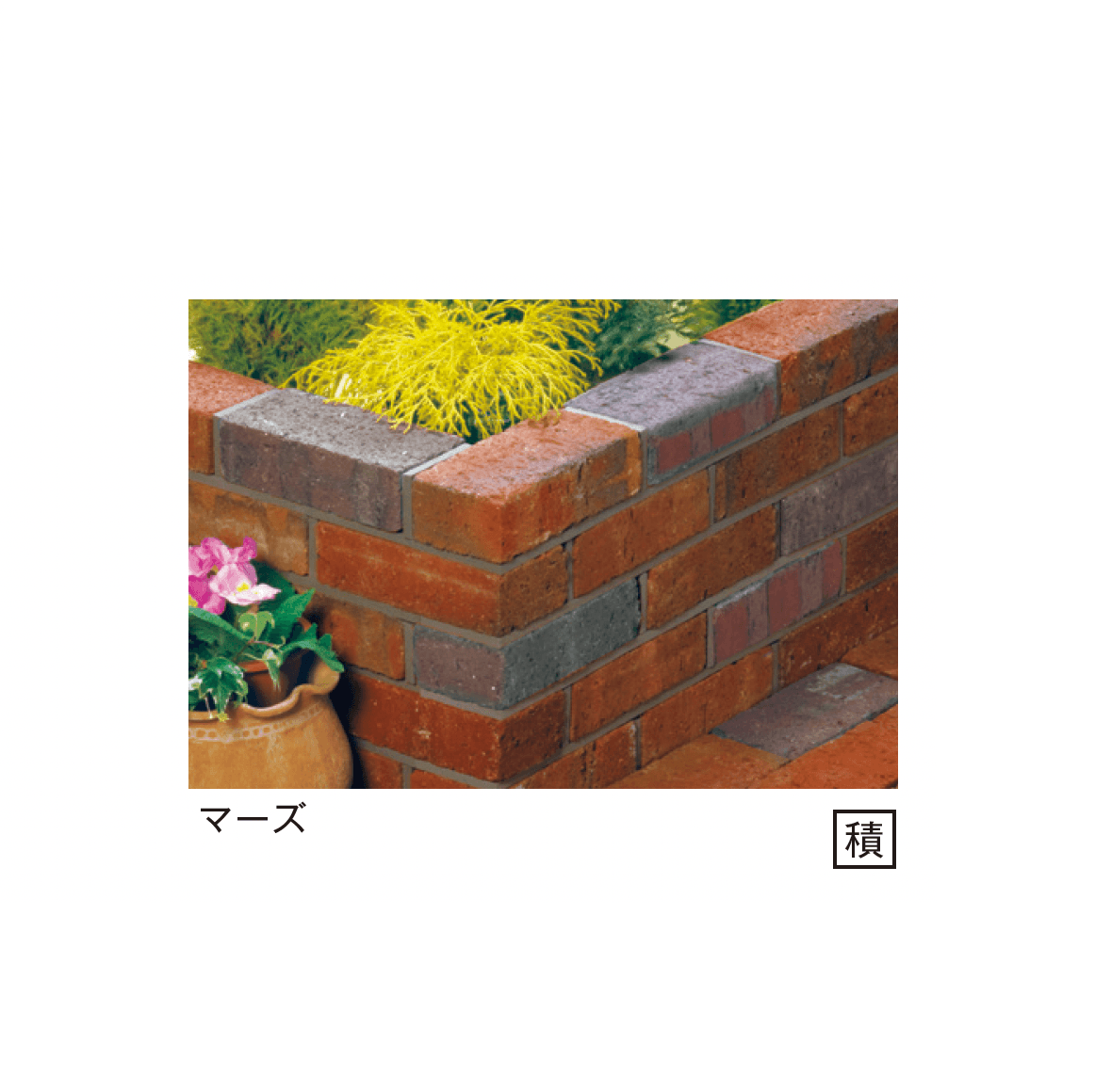 メイクランドの「ステラ」のサブ画像1