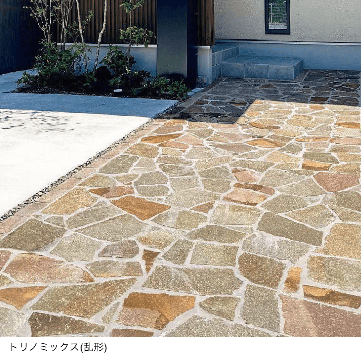 東洋工業の「トリノミックス」のサブ画像2