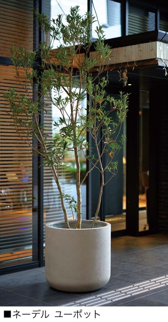 オンリーワンクラブの「ネーデル【2024年版】」