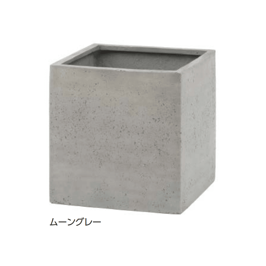 タカショーの「カント」