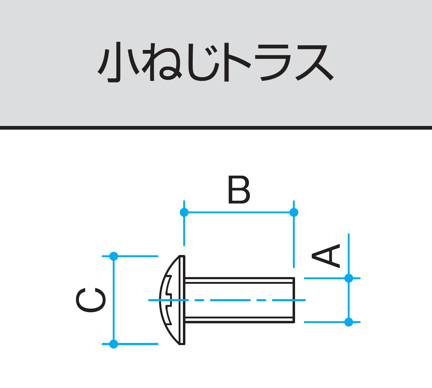 三協アルミの「ねじセット【α-Pro アルファプロ】」