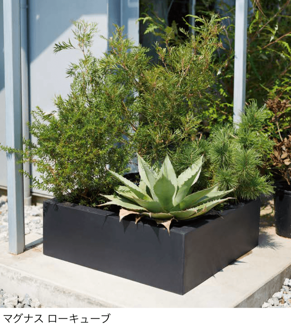 オンリーワンクラブの「マグナス」のサブ画像2