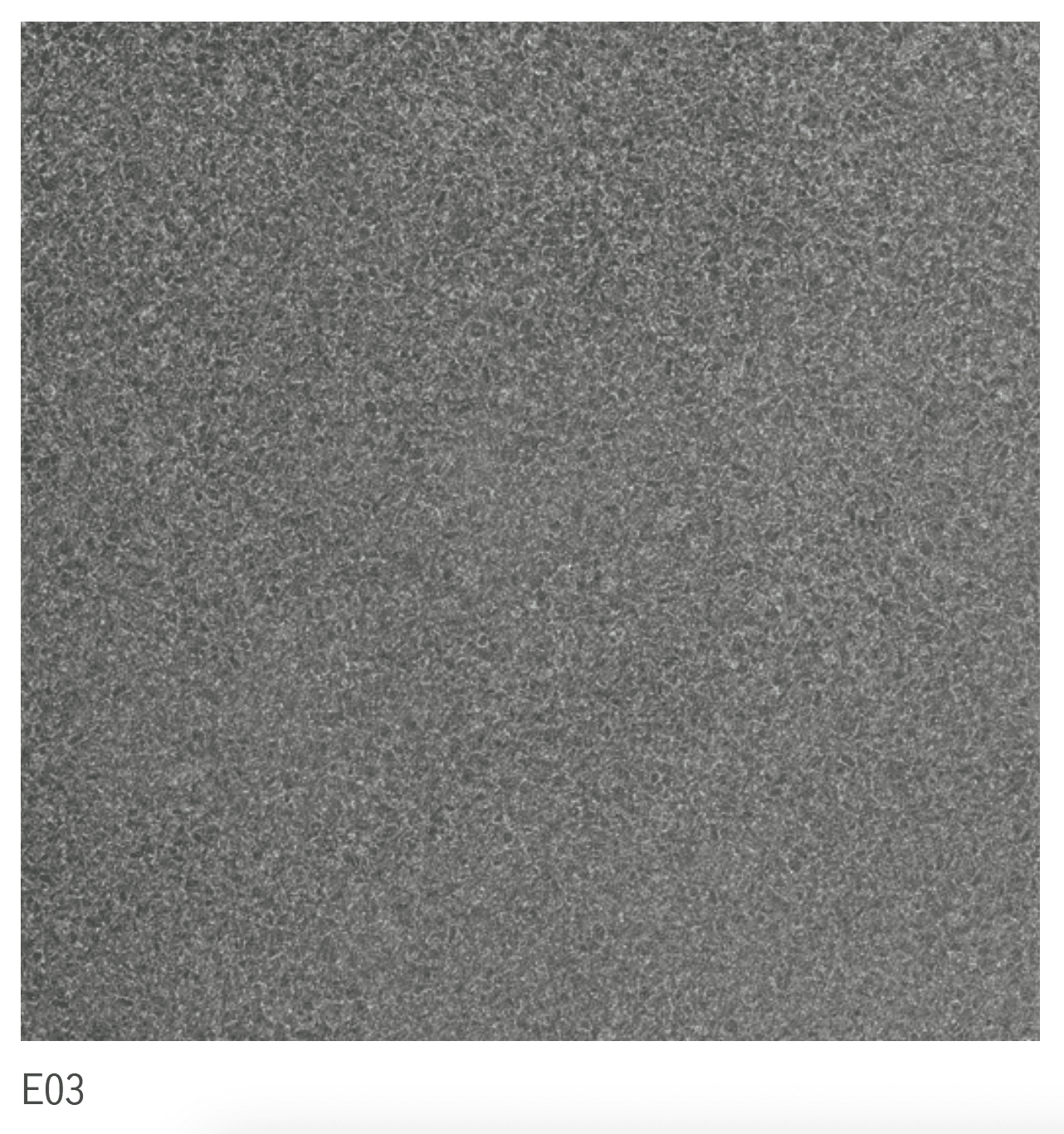 アイコットリョーワの「ランダ(グラン舗石)【2025年版】」のサブ画像1