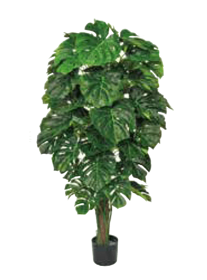 ゆとりの「リフェイクグリーン 【2022年版】」のサブ画像1