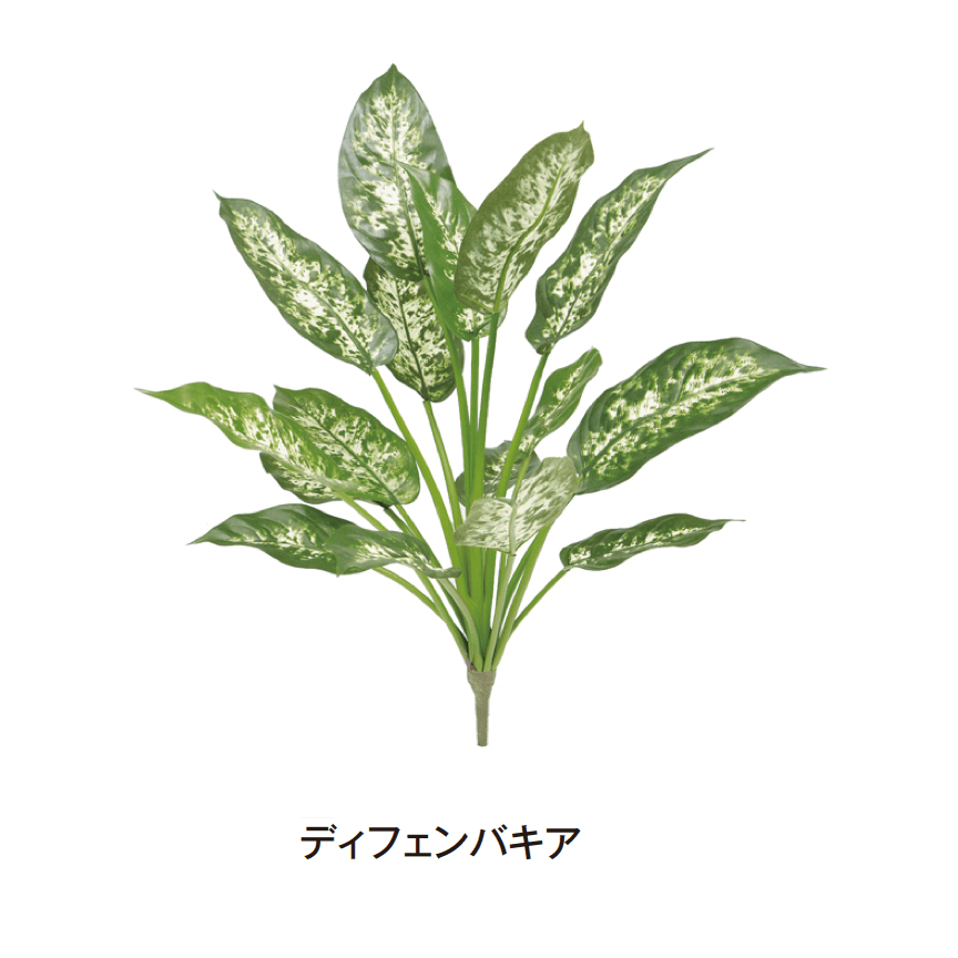 タカショーの「グランドカバー 下草」のサブ画像16