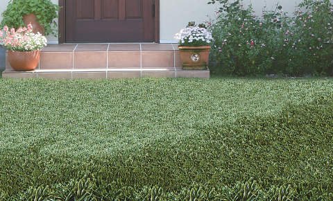 四国化成の「グリーンウォーク【2024年版】」のサブ画像1