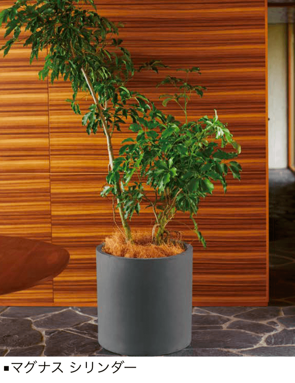 オンリーワンクラブの「マグナス」のサブ画像8