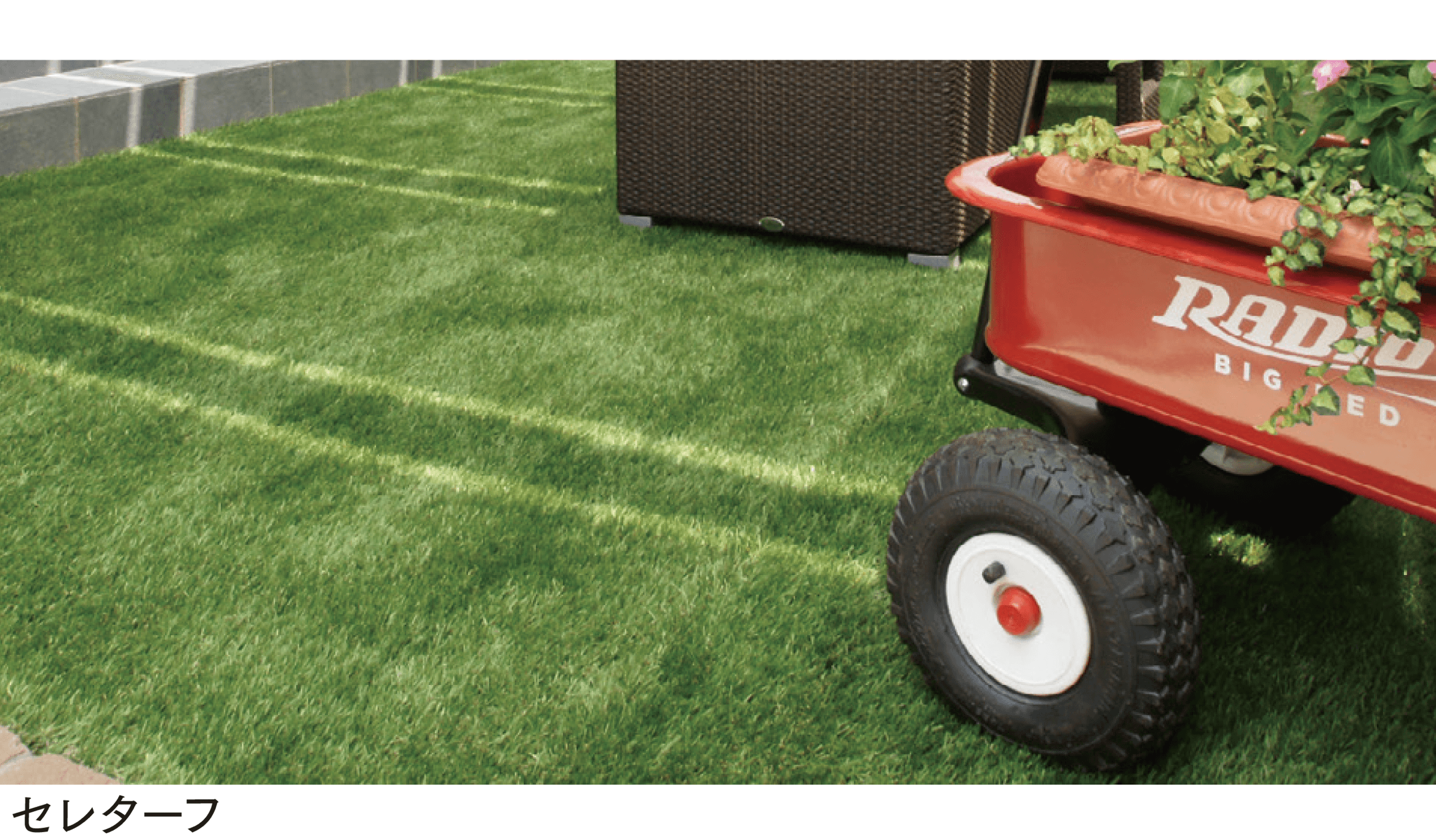 マチダコーポレーションの「セレターフ」