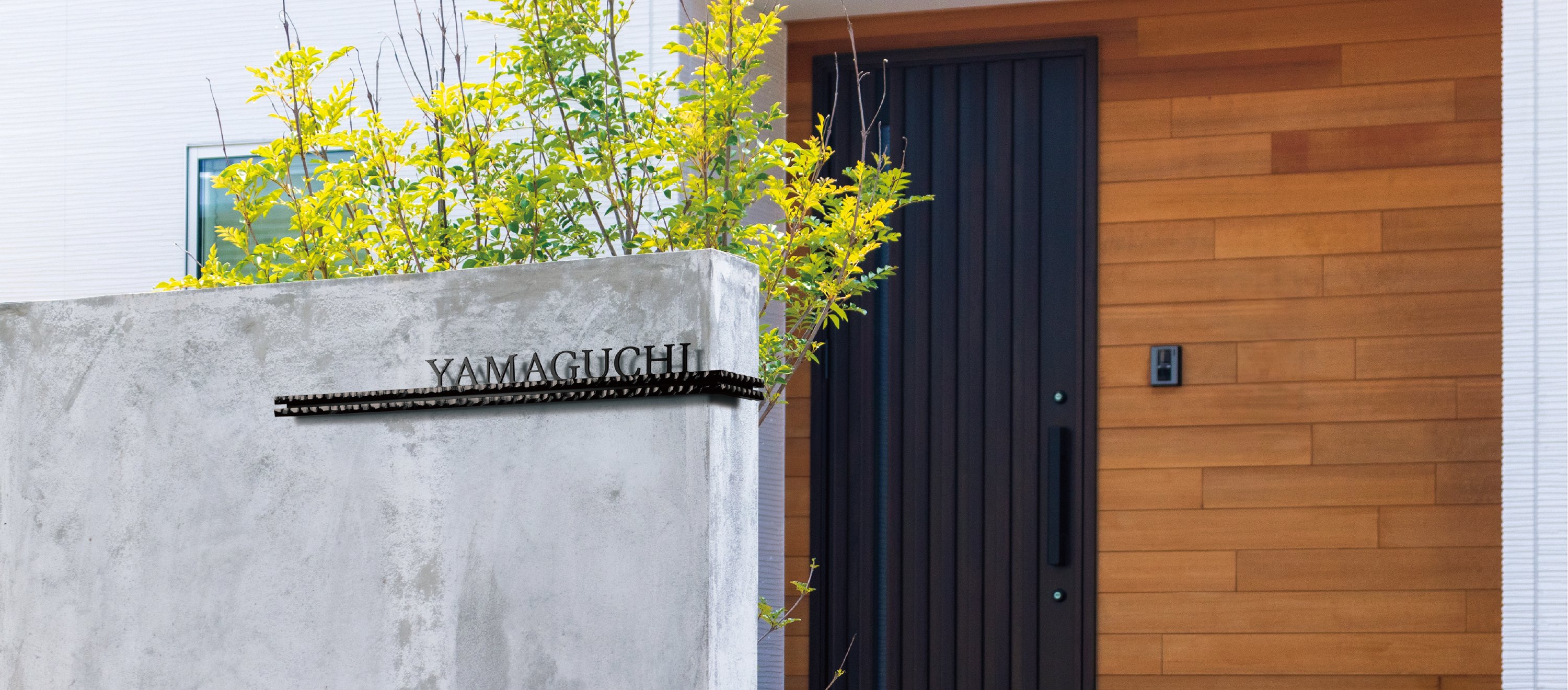 福彫の「ウォールアクセントライン【2024年版】」