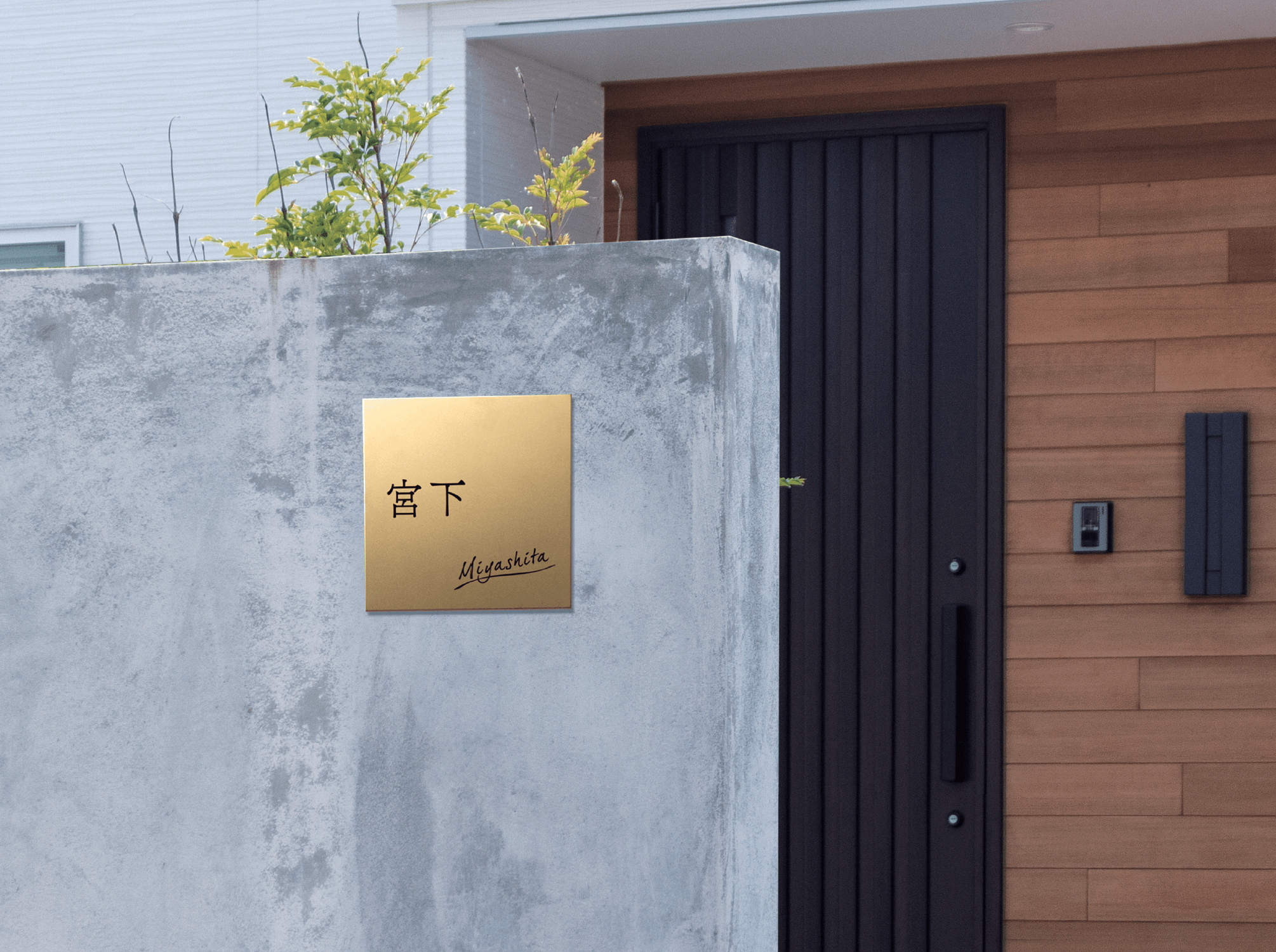 ギャザーの「ティクシー」