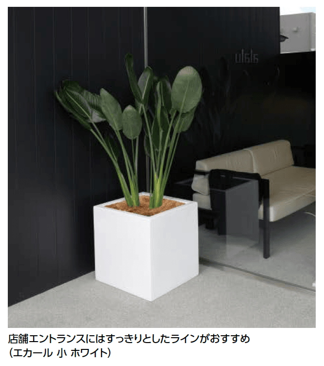 タカショーの「エカール」