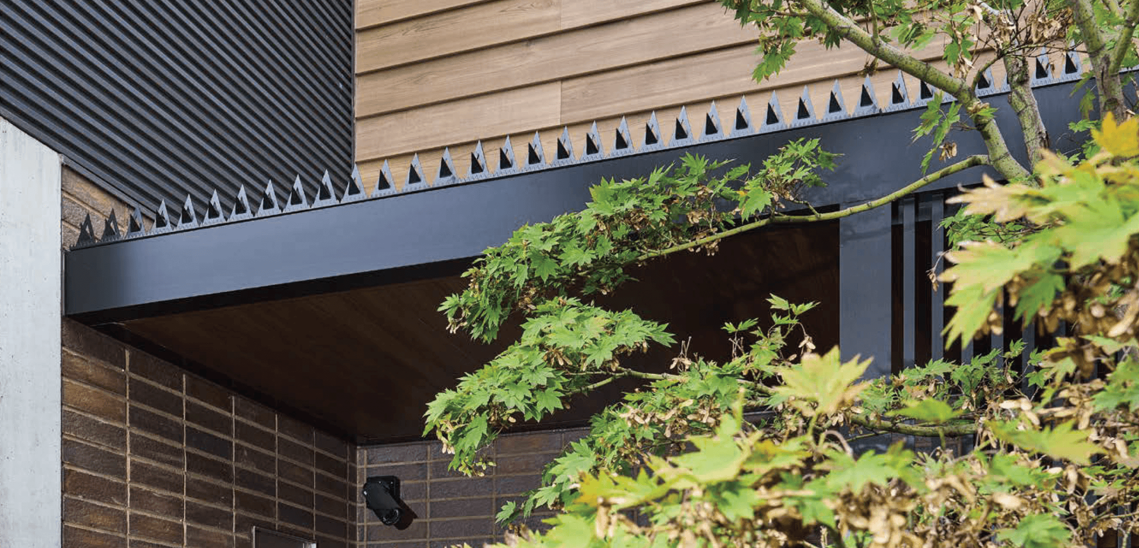 オンリーワンクラブの「ブーグラガード」