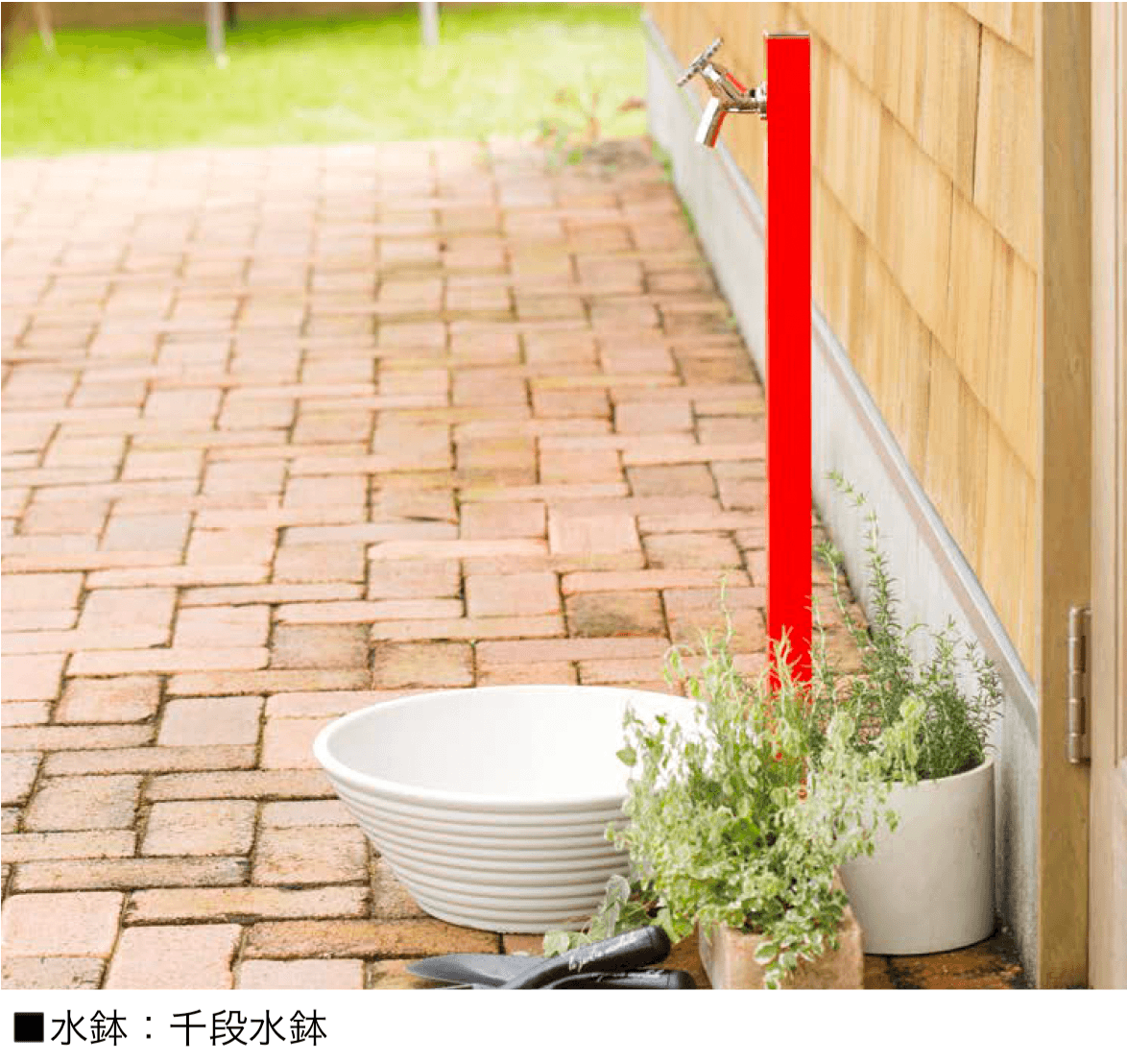 オンリーワンクラブの「水鉢【2024年版】」のサブ画像3