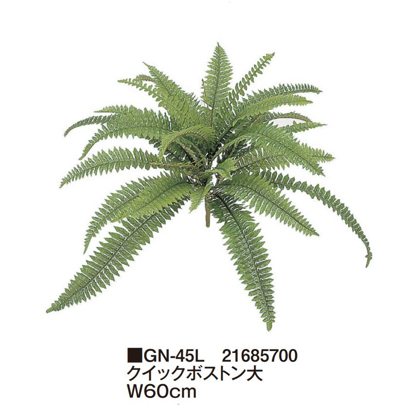 タカショーの「グランドカバー 下草【2025年版】」のサブ画像18