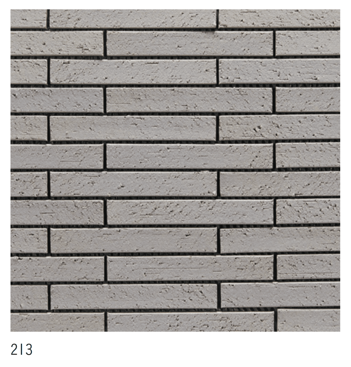 アイコットリョーワの「ケール」のサブ画像3