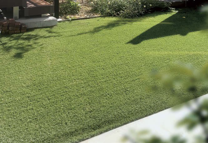 オンリーワンクラブの「プロターフ ニューマキシマム」のサブ画像2