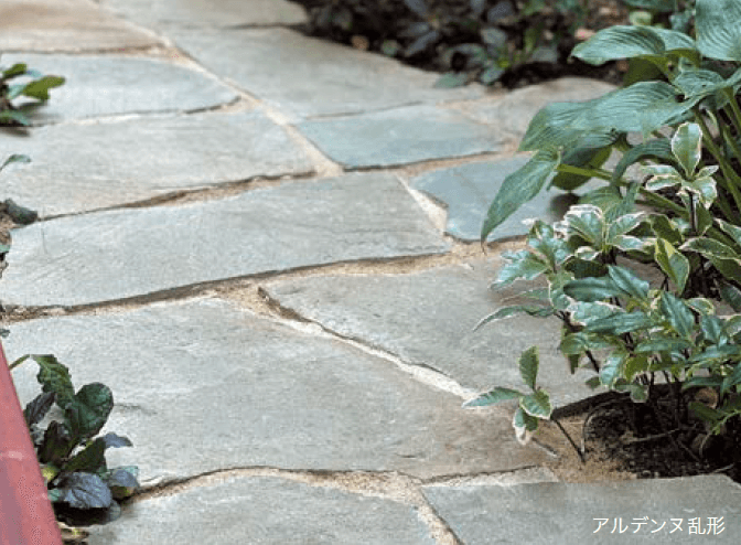 オンリーワンクラブの「アルデンヌ【2023年版】」のサブ画像1