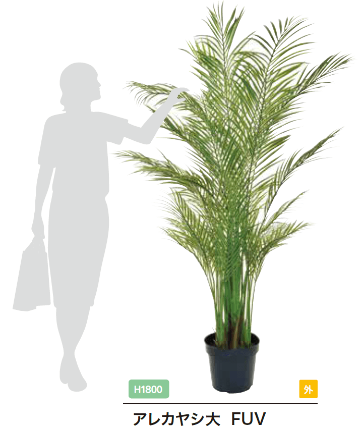 ゆとりの「リフェイクグリーン【2023年版】」のサブ画像3