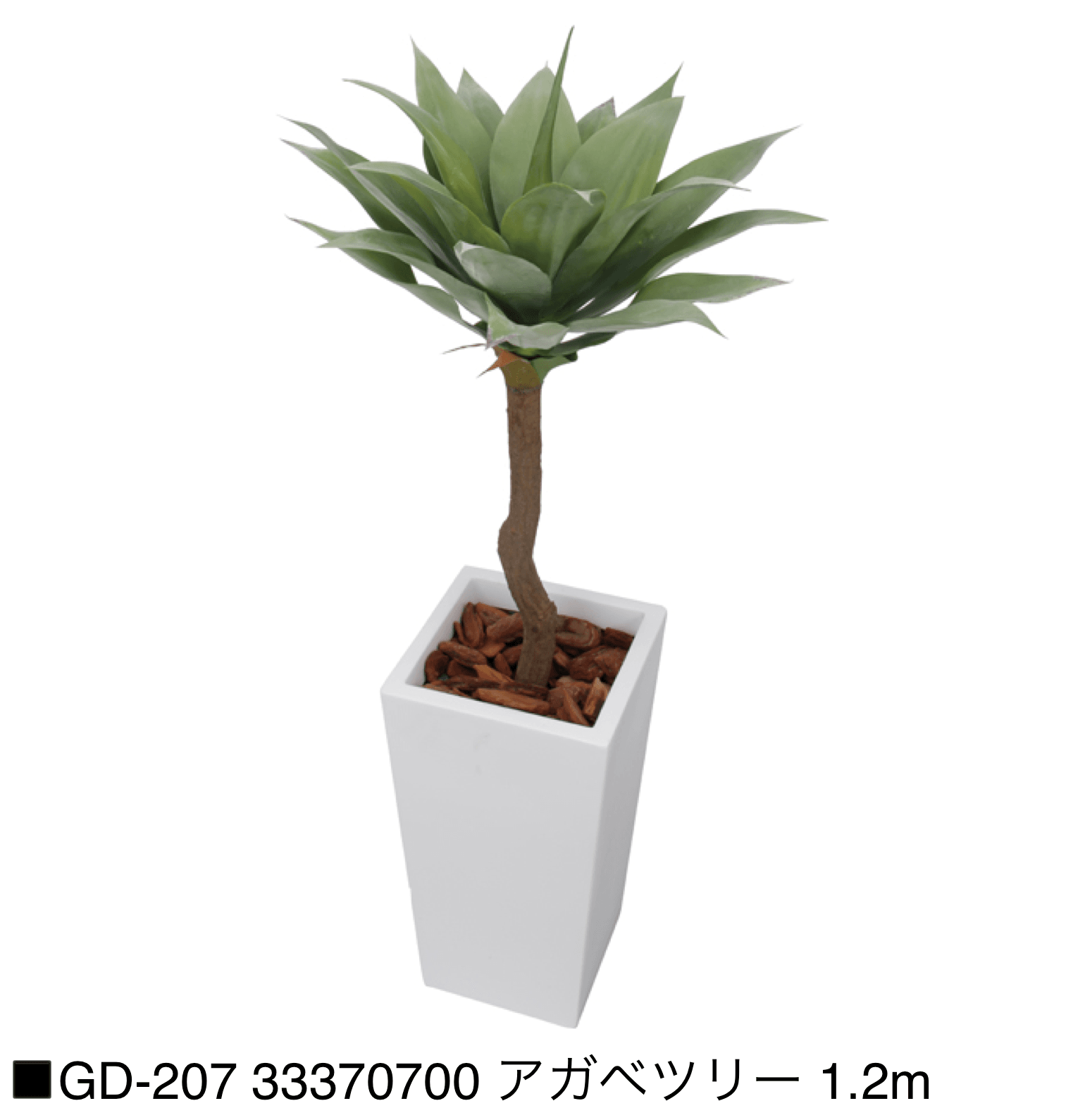 タカショーの「観葉植物【2025年版】」のサブ画像11