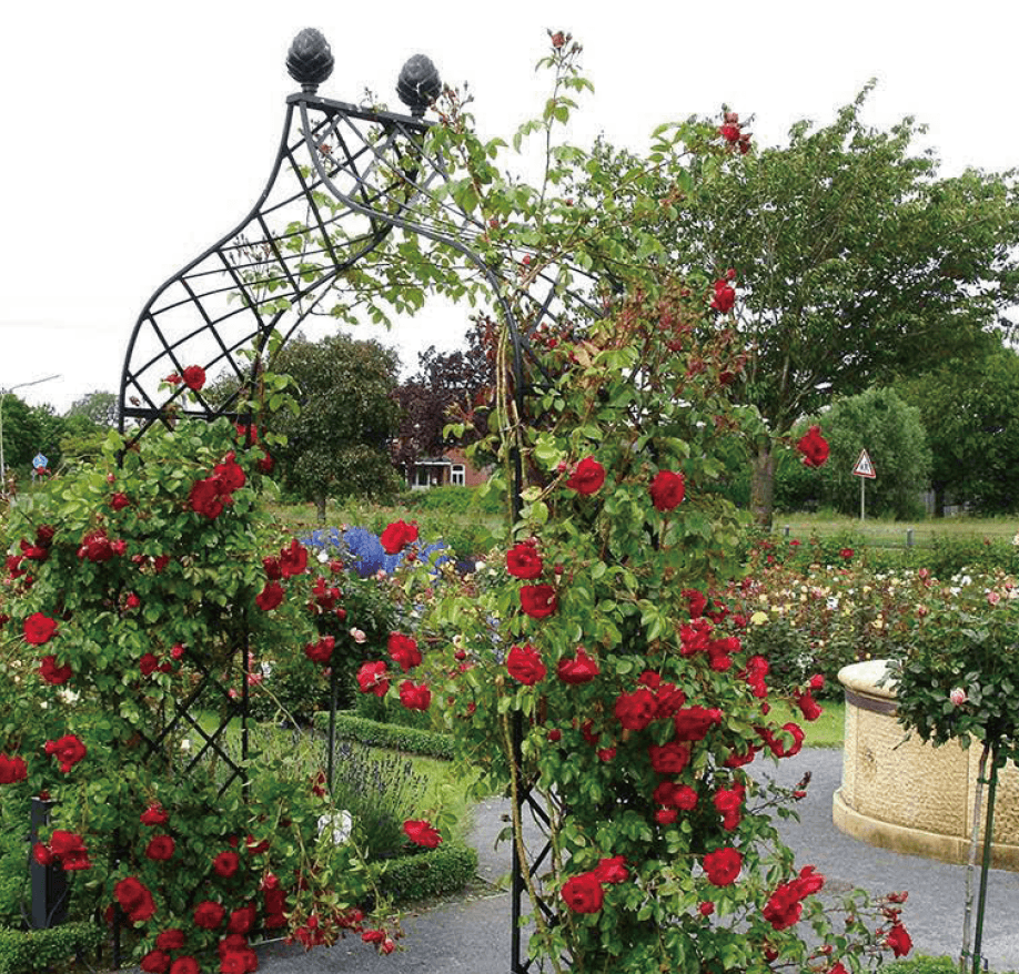 セキスイデザインワークスの「ローズサポート クラシック・ガーデン・エレメンツ【2024年版】」