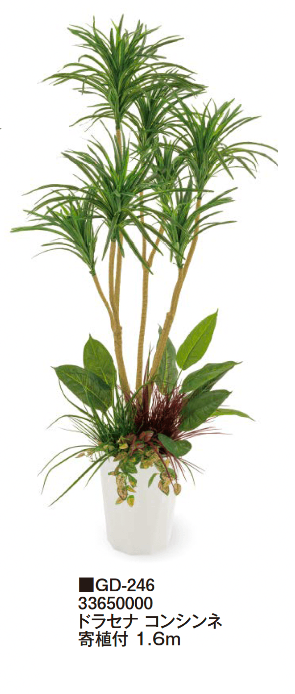 タカショーの「観葉植物【2024年版】」のサブ画像22