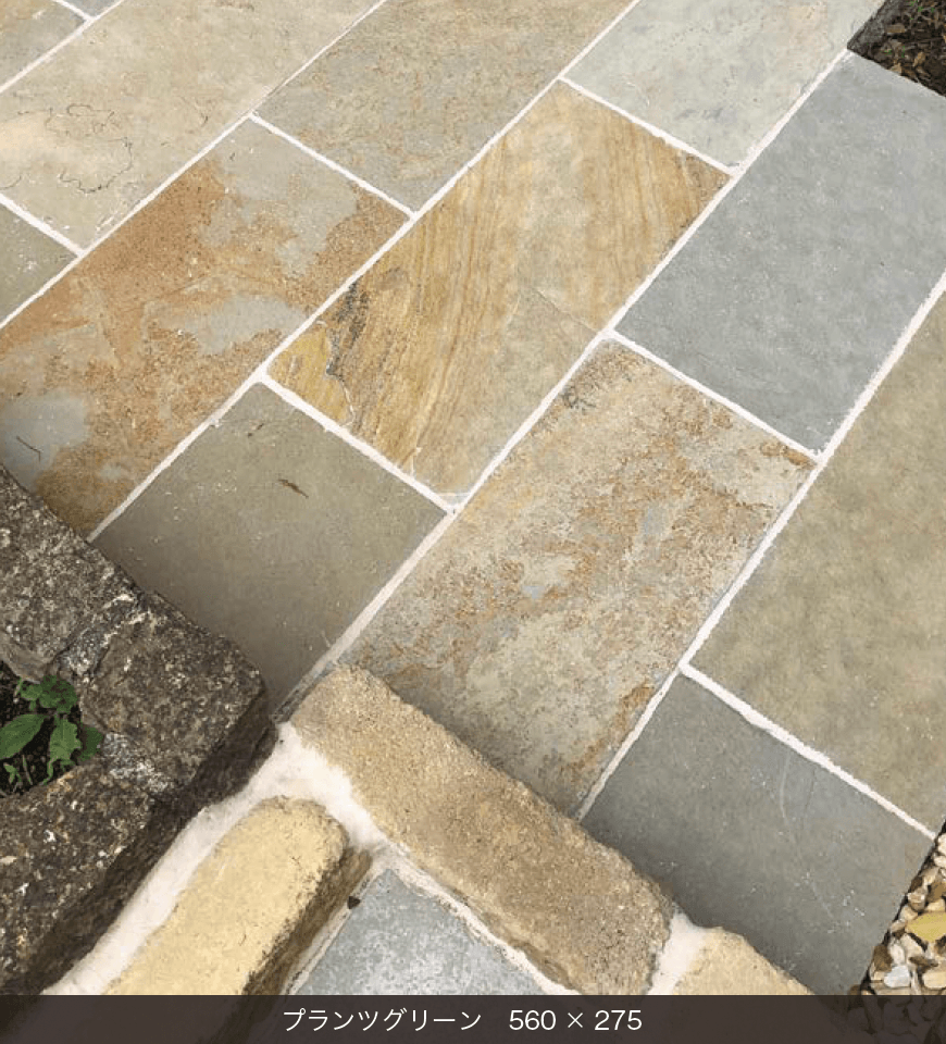 オンリーワンクラブの「プランツグリーン」