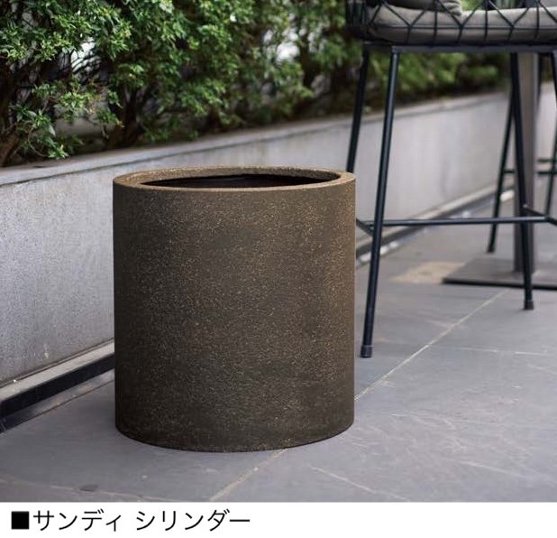 オンリーワンクラブの「サンディ【2024年版】」のサブ画像1