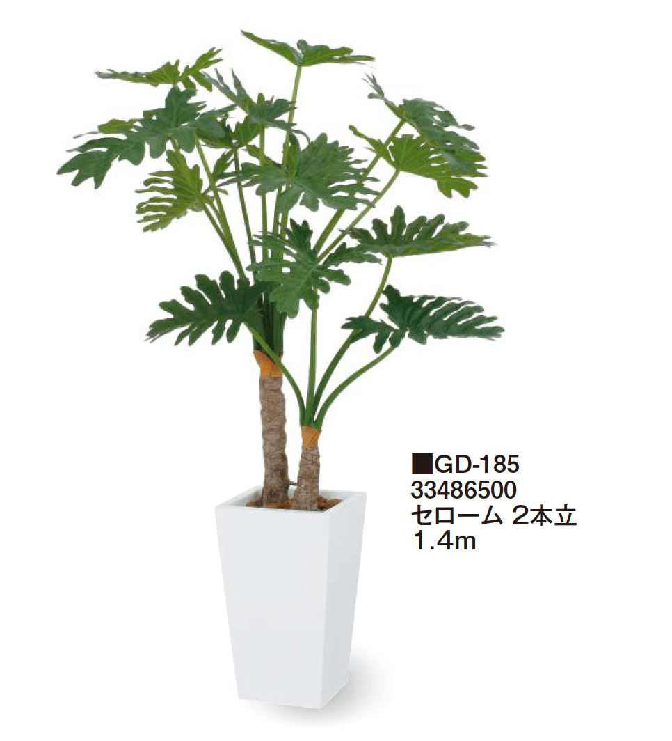 タカショーの「観葉植物【2024年版】」のサブ画像8