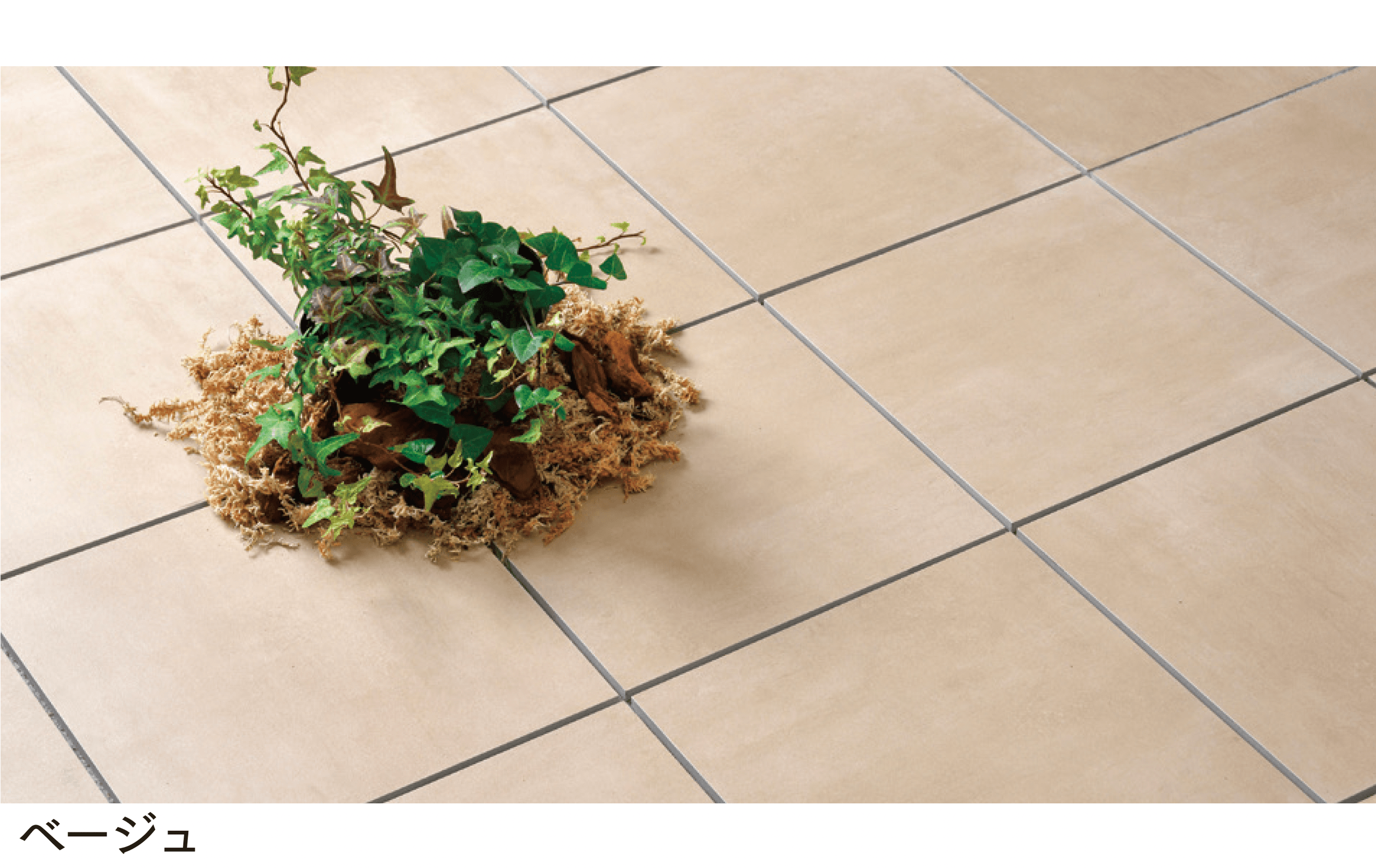 マチダコーポレーションの「マルサーラ」