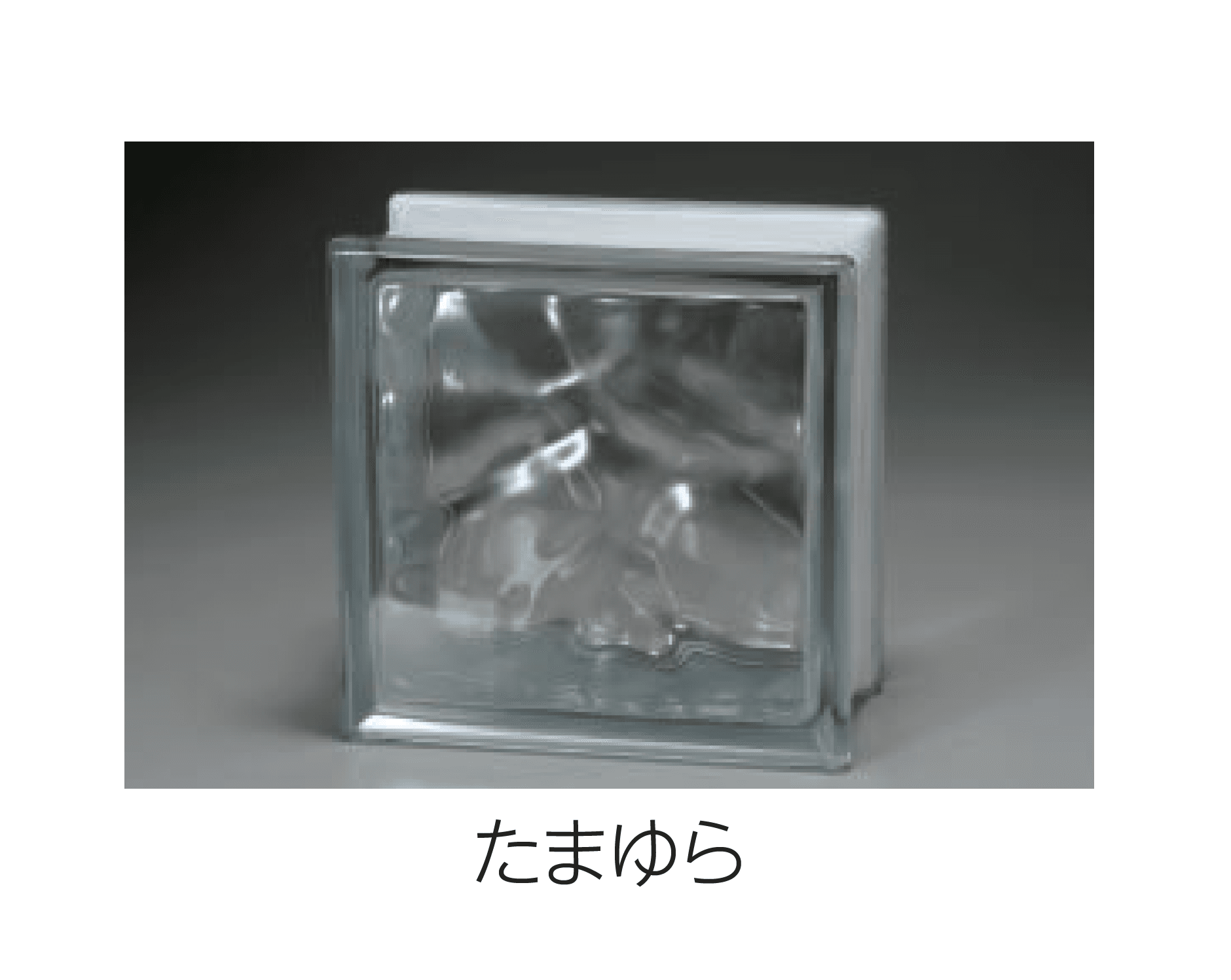 エスビックの「ガラスブロック」のサブ画像3