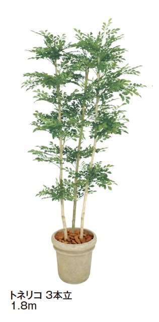 タカショーの「大型人工樹【2024年版】」のサブ画像7