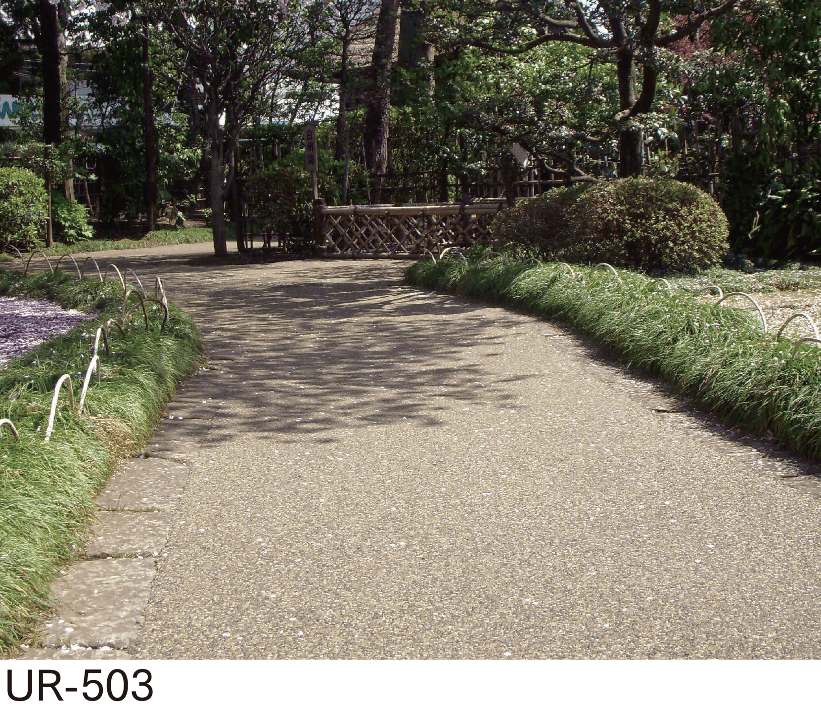 マチダコーポレーションの「ニューファンシア」