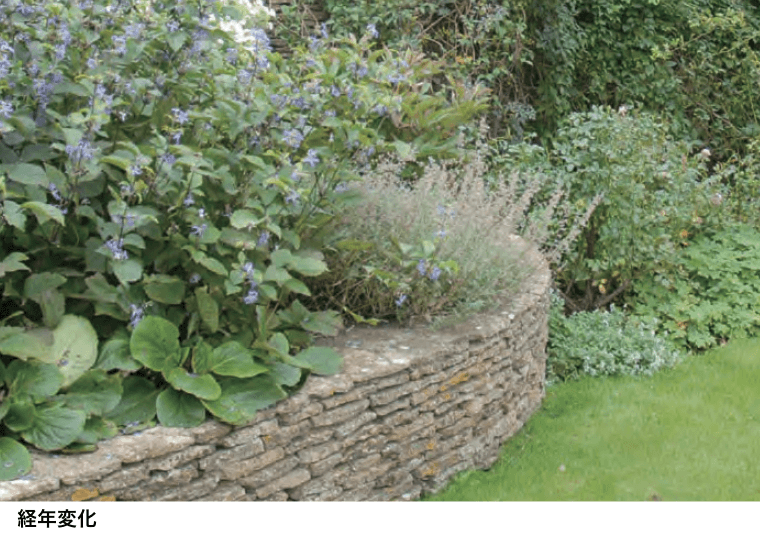 オンリーワンクラブの「コッツウォルドストーン【2023年版】」のサブ画像4