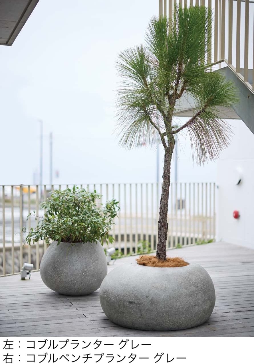 オンリーワンクラブの「コブル」のサブ画像1