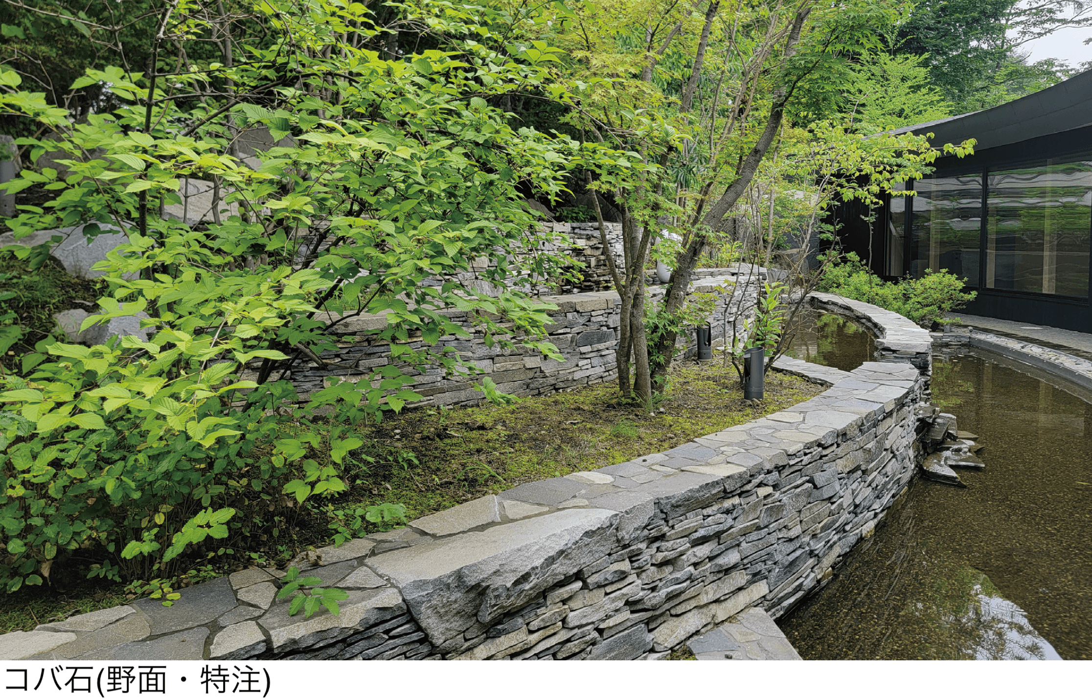 メイクランドの「信州志賀石」