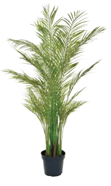 ゆとりの「リフェイクグリーン 【2022年版】」