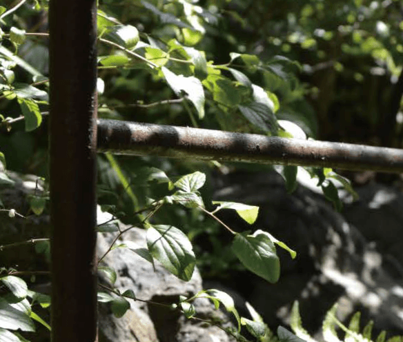 オンリーワンクラブの「SUS筧【2023年版】」のサブ画像2