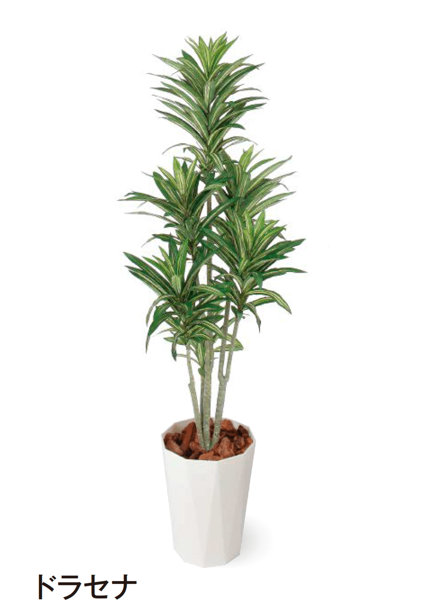 タカショーの「観葉植物」のサブ画像15