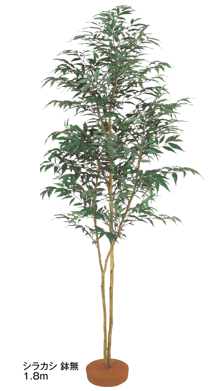 タカショーの「和風観葉植物【2024年版】」のサブ画像3