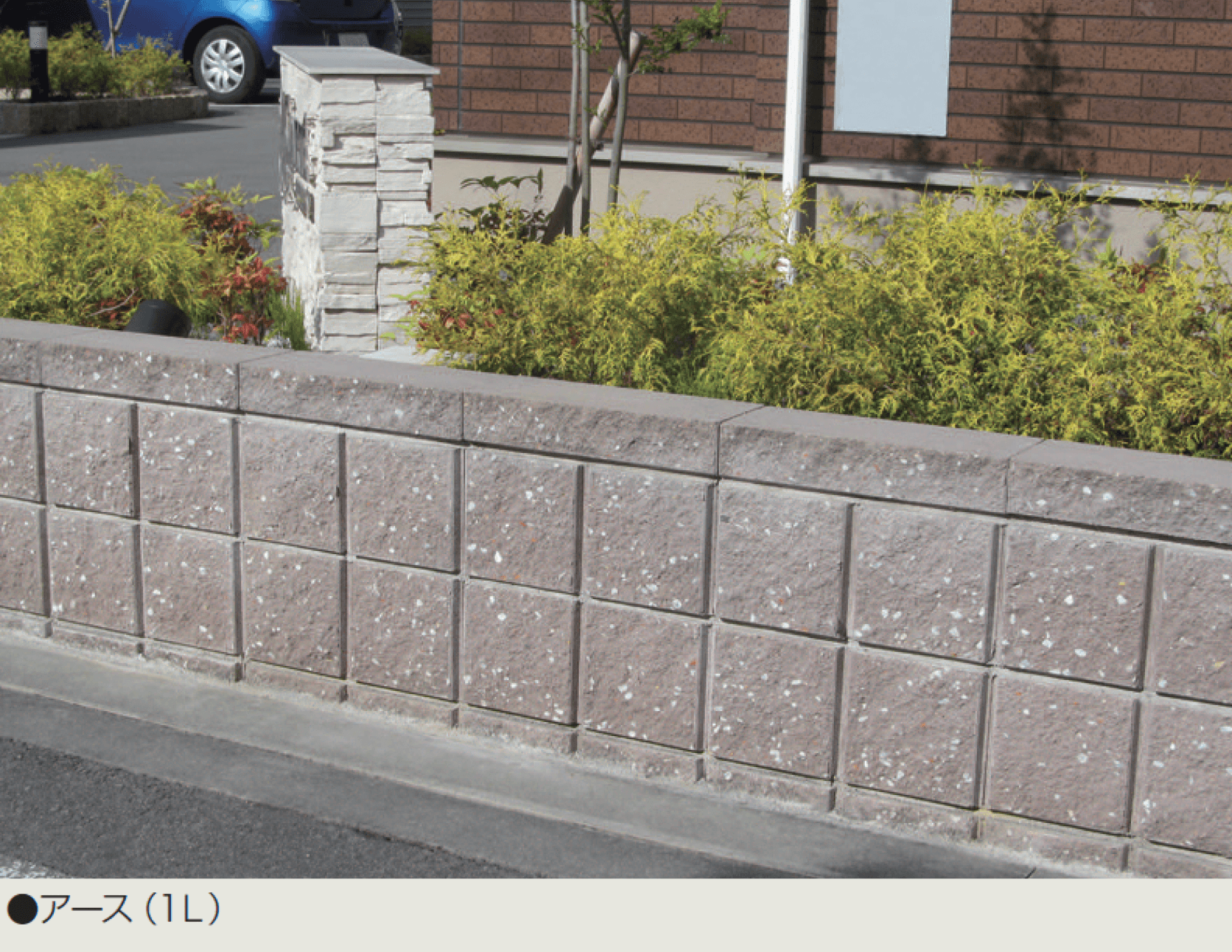 マツオコーポレーションの「リブ スタンダード」