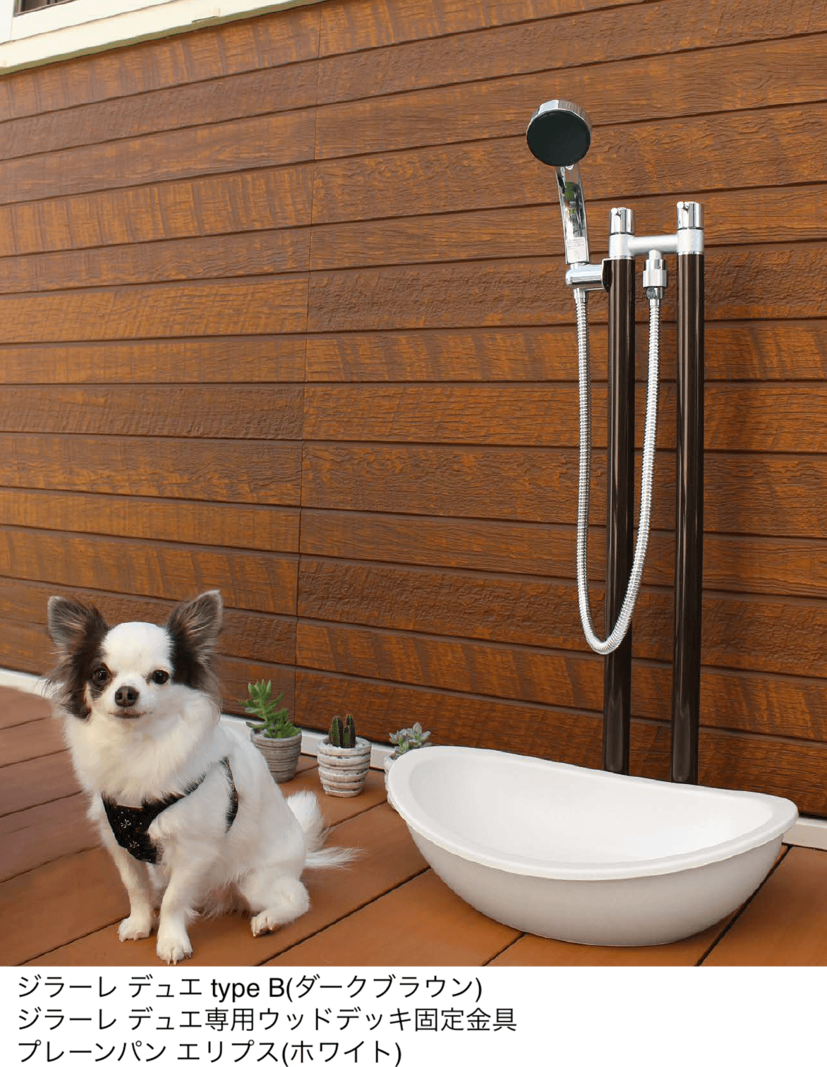 オンリーワンクラブの「ジラーレ デュエ」