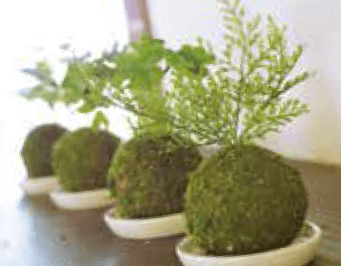 ゆとりの「消臭アーティフィシャルグリーン WA BONSAI【2023年版】」