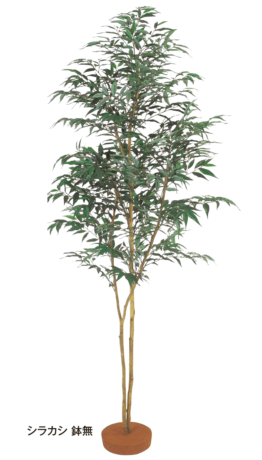 タカショーの「和風観葉植物」のサブ画像3