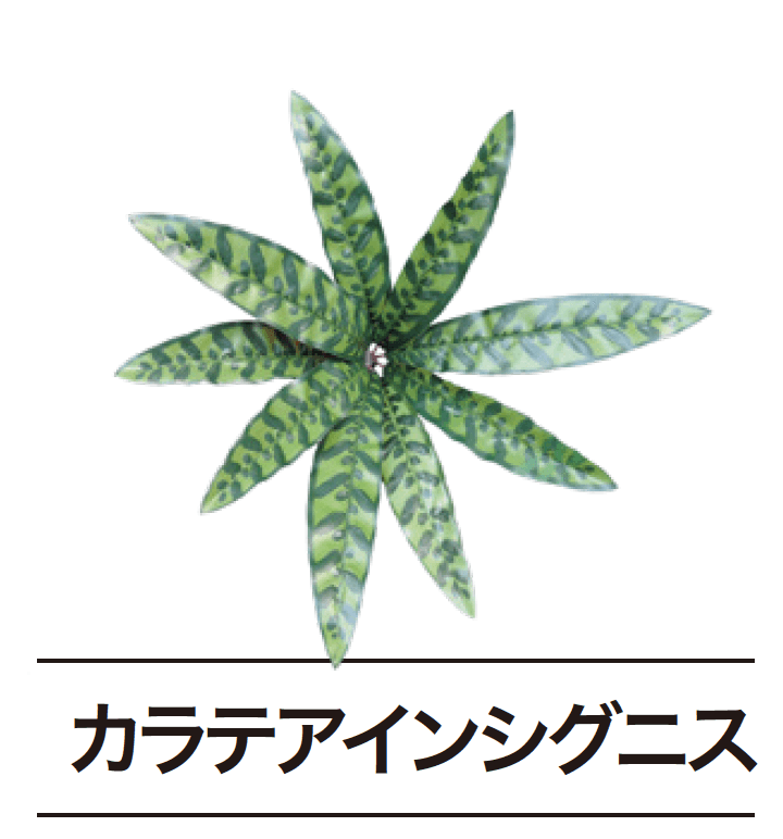 ゆとりの「ぴたっとグリーン【2024年版】」のサブ画像6