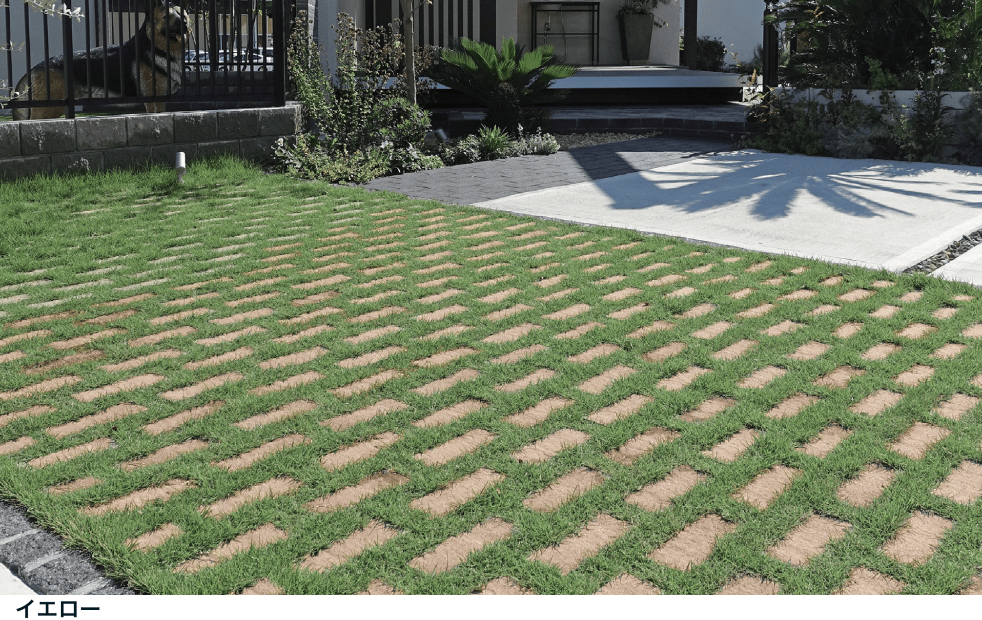 マチダコーポレーションの「アルテア Gタイプ【2024年版】」