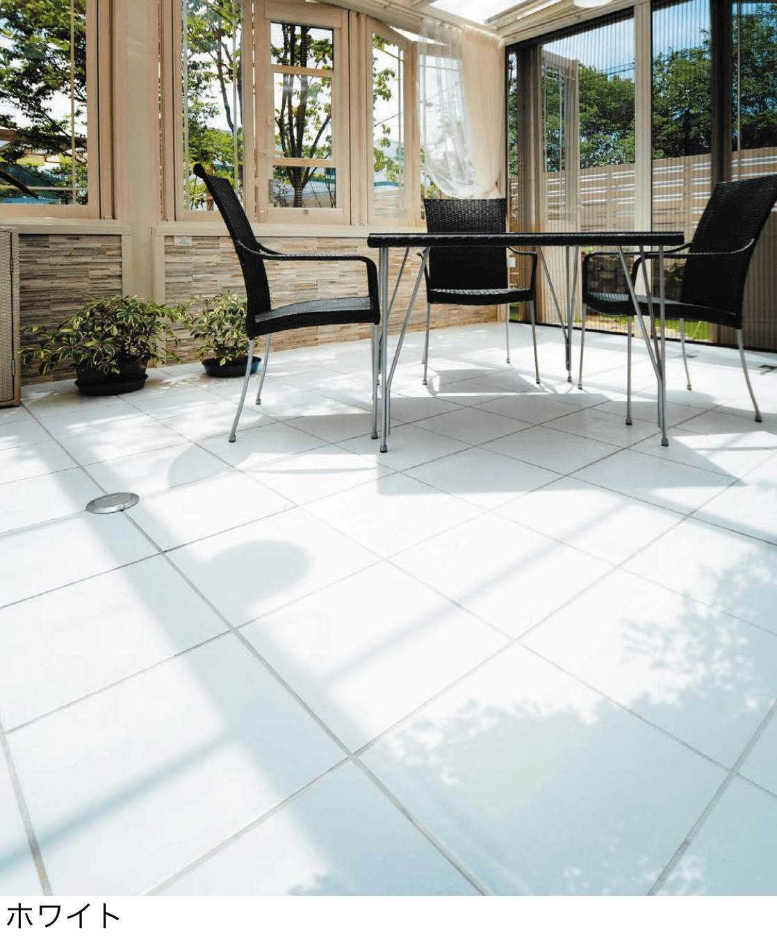 エクシスランドの「サッカラ【2025年版】」