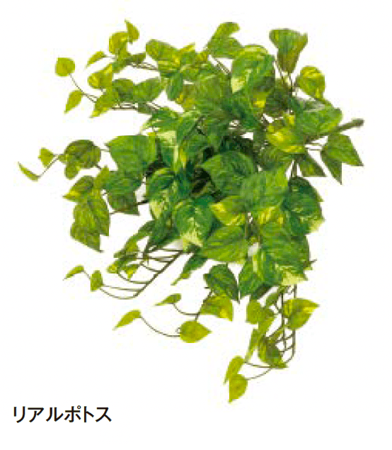 タカショーの「ハンギング」のサブ画像2