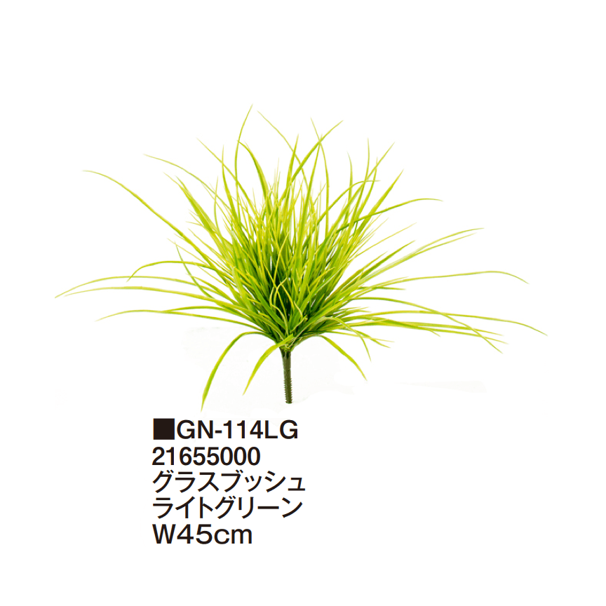 タカショーの「グランドカバー 下草【2025年版】」のサブ画像7