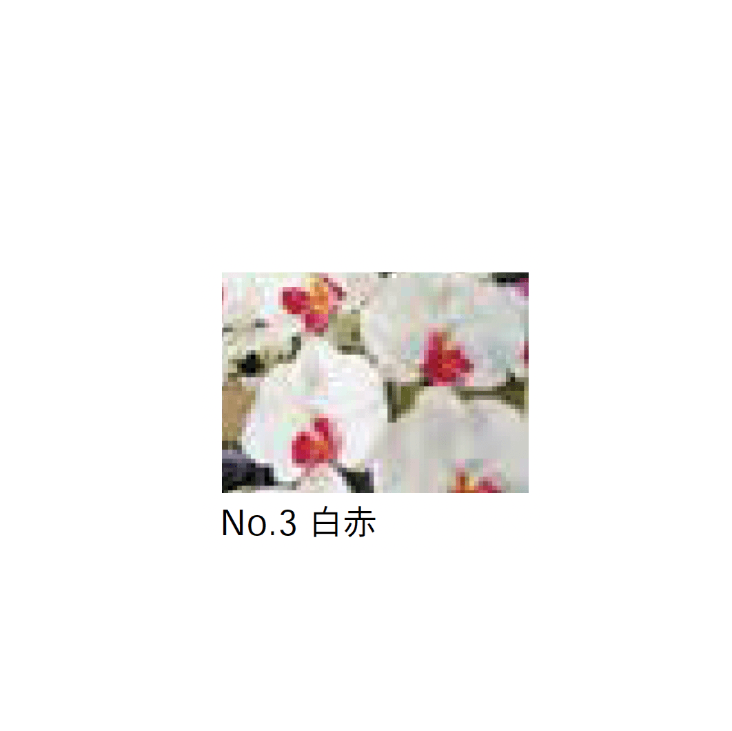 Bullsの「アートフラワー 胡蝶蘭」のサブ画像3